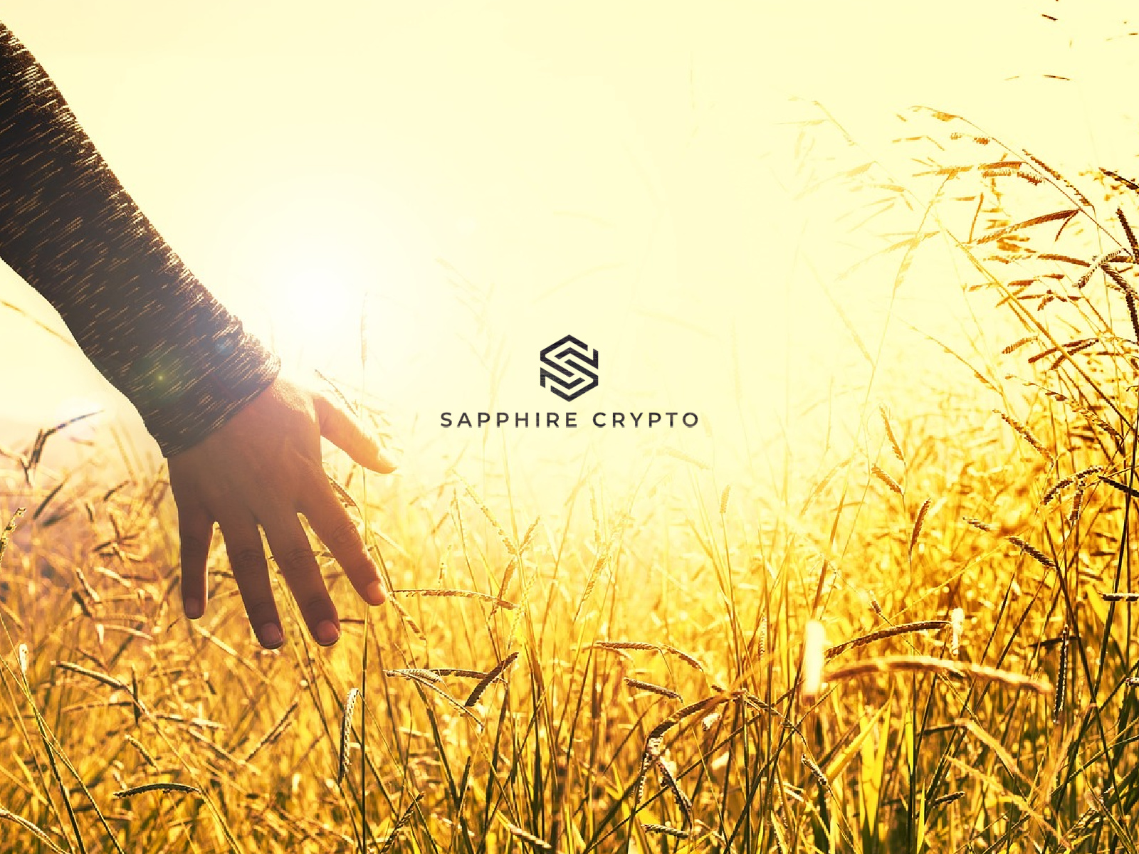 The Privilege Of Position