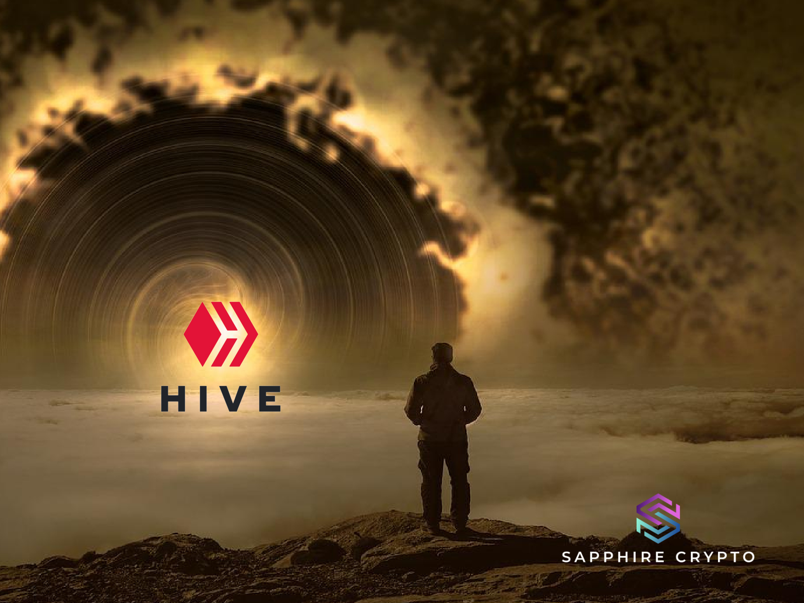 Building The Hive Dream