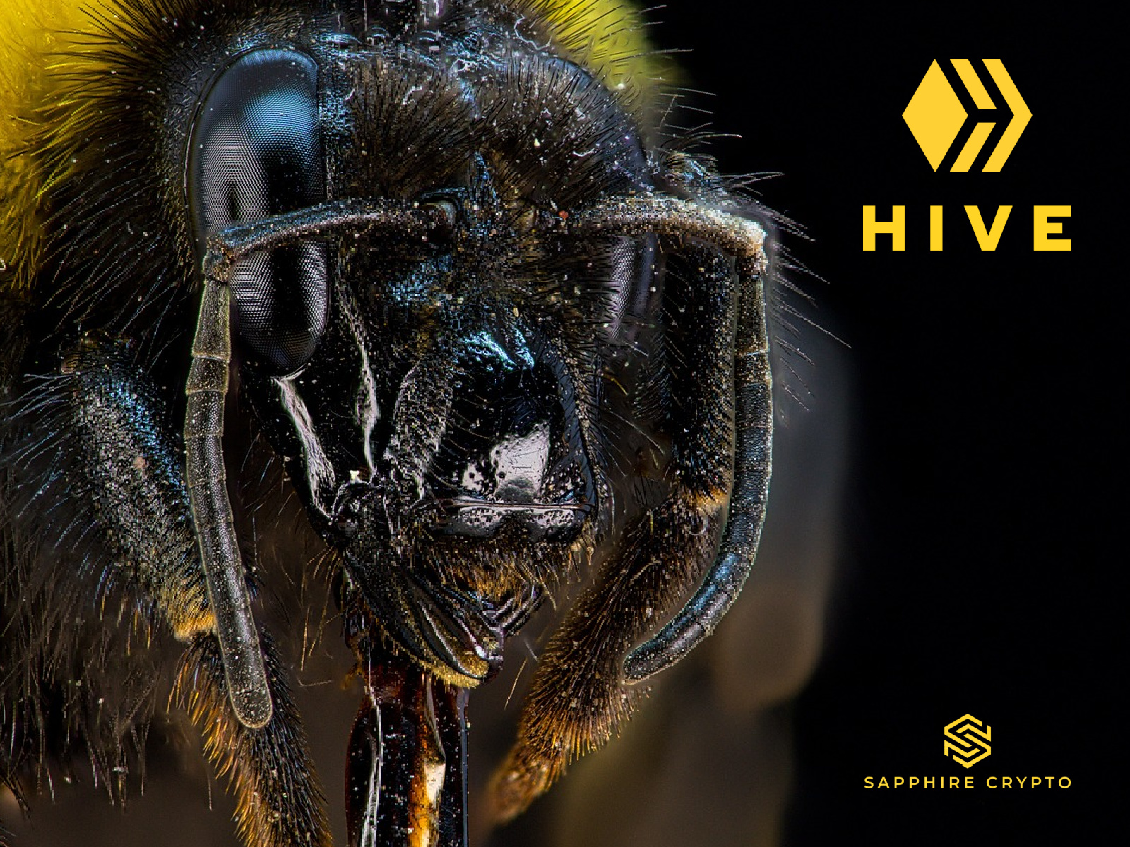 Hive – The Relevance Of An Independent & Decentralized Model