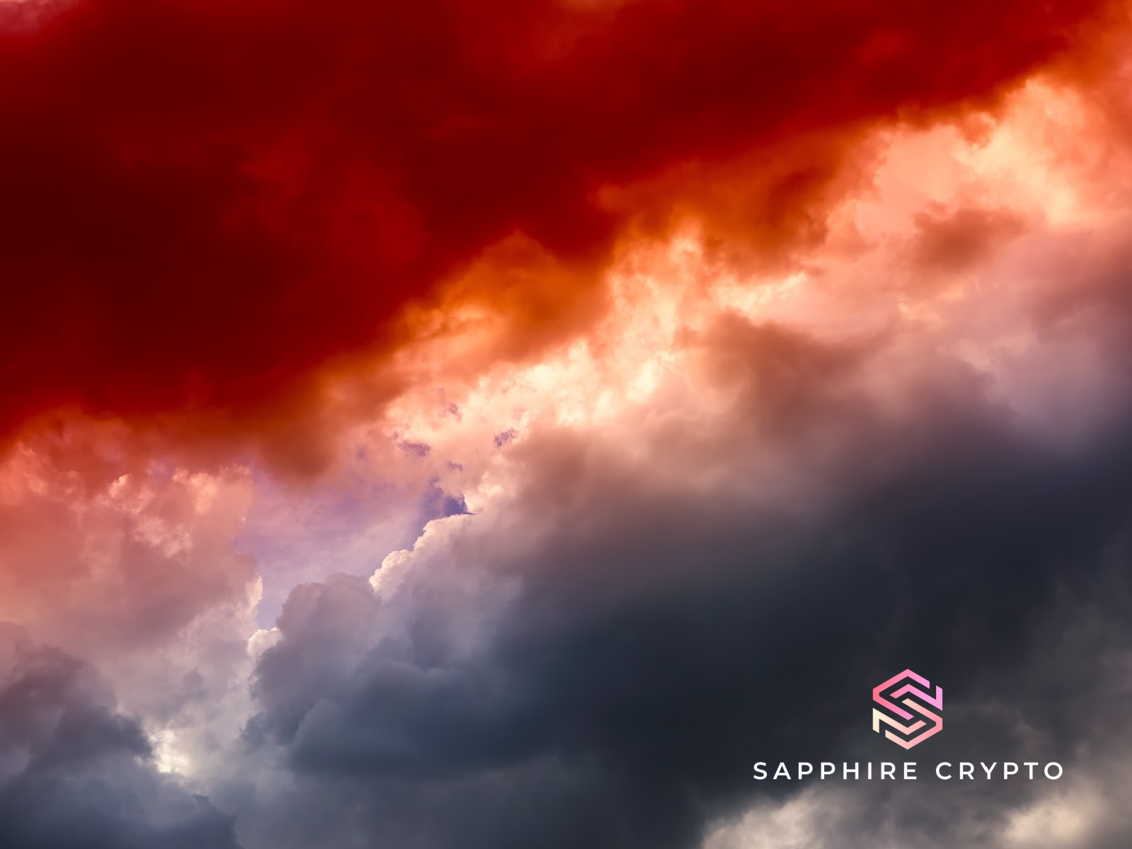 The DeFi Dynamic – Enjoying Success Where Many Fail