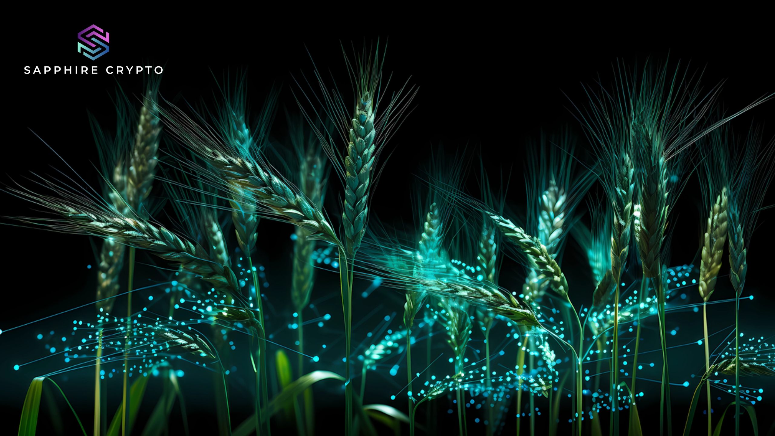 Crypto & The Law Of Seed Time & Harvest